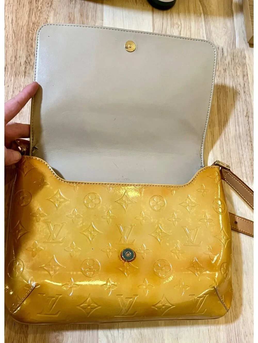 Louis Vuitton authentic louis
